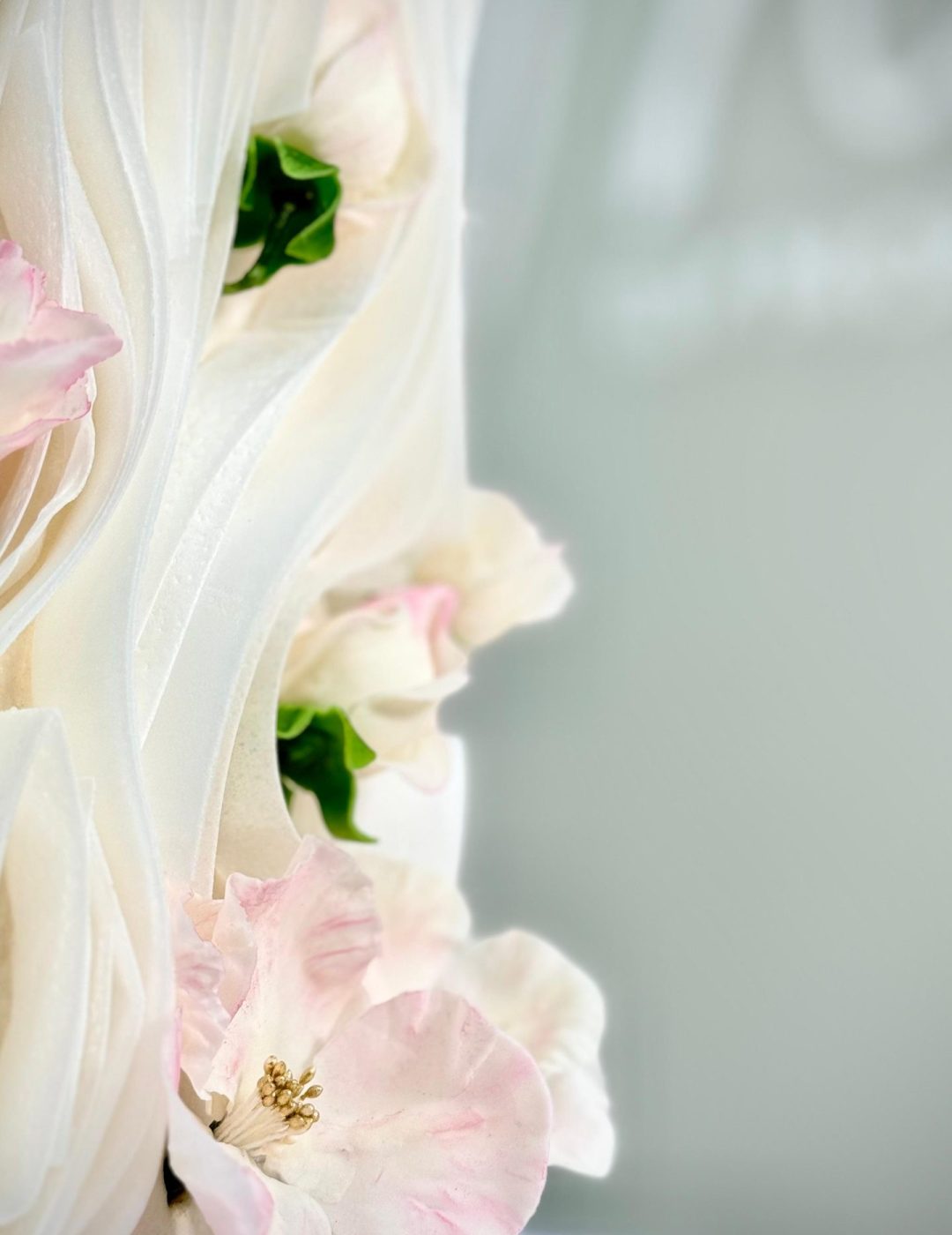 WhatsApp Image 2025-01-18 at 14.35.56 (2) (1)