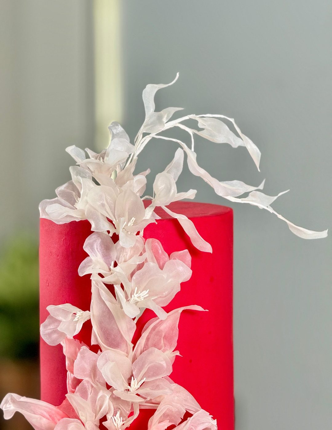 WhatsApp Image 2025-01-18 at 14.35.56 (4) (1)